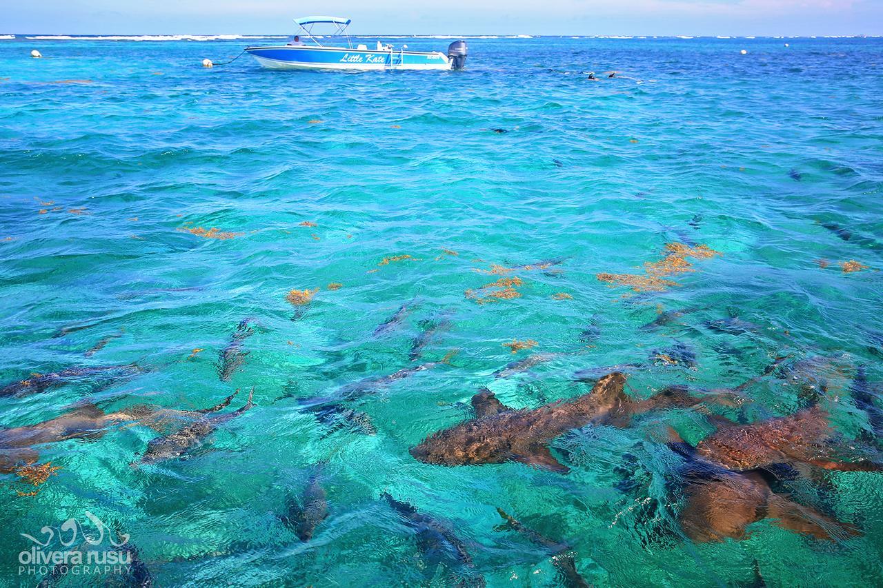 Cayo Espanto San Pedro  Ngoại thất bức ảnh